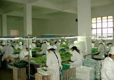 農產品加工廠屬于什么行業?農產品加工行業的創業機會與好處一覽