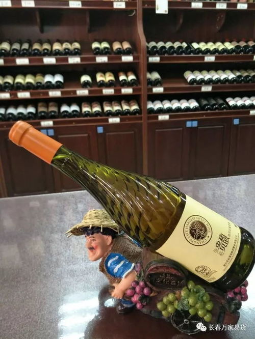 精品推薦 日常消費(fèi)類